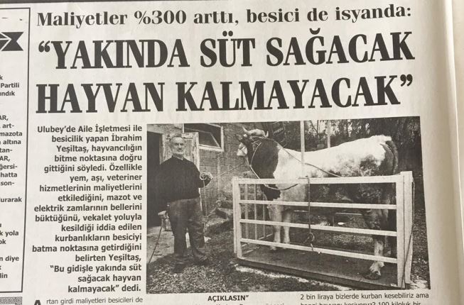 YAKINDA SÜT SAĞACAK HAYVAN KALMAYACAK YAKINDA SÜT SAĞACAK HAYVAN KALMAYACAK