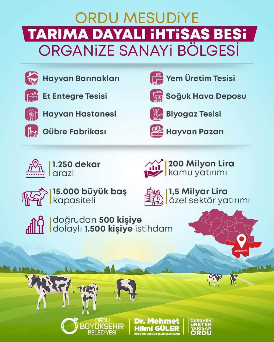 Karadeniz'in Mega Projesi Ordu'ya