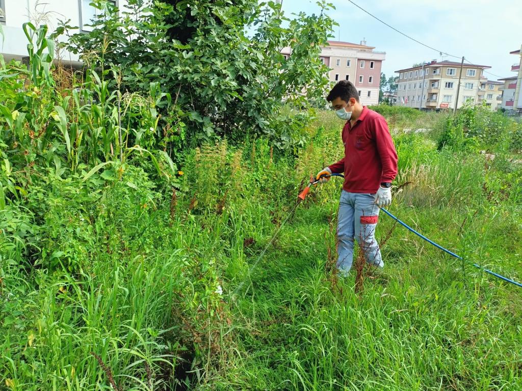 Vektörle Mücadelede Etkin Mücadele Sürüyor