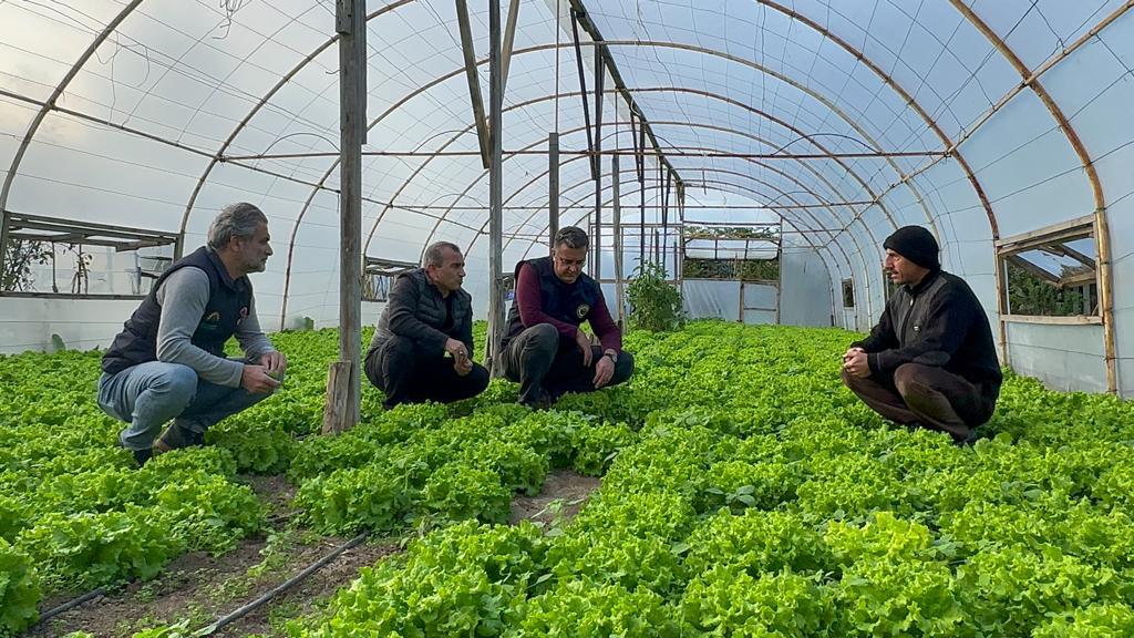Ordu’da Seracılık Yaygınlaşıyor